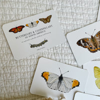 Butterfly and Caterpillar Cards