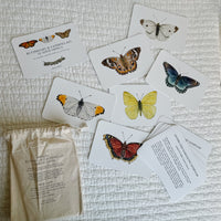 Butterfly and Caterpillar Cards